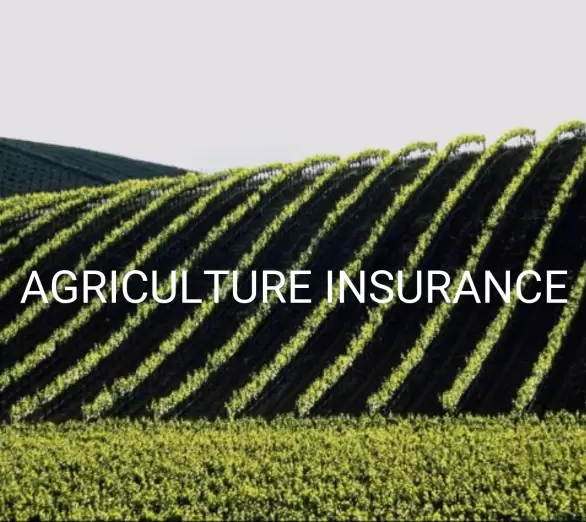 Agric Insurance